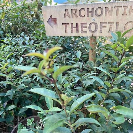 Archontiko Theofilou #2 With Private Parking Space Apartment Thessaloníki Ngoại thất bức ảnh