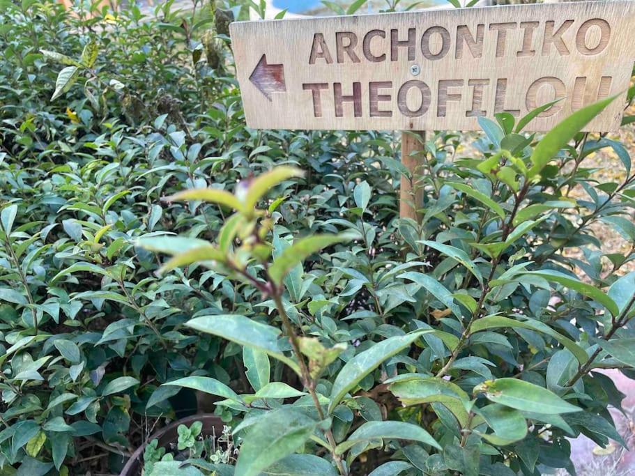 Archontiko Theofilou #2 With Private Parking Space Apartment Thessaloníki Ngoại thất bức ảnh